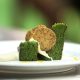 algae cakes