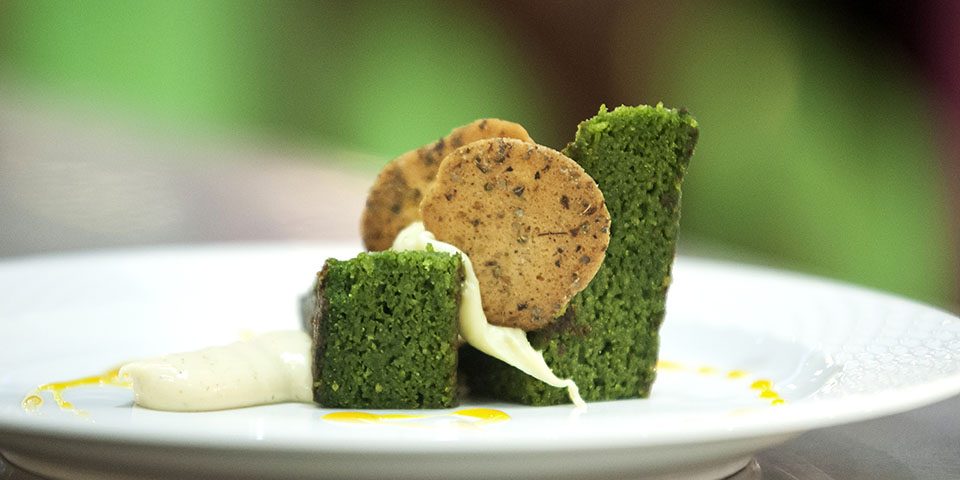 algae cakes