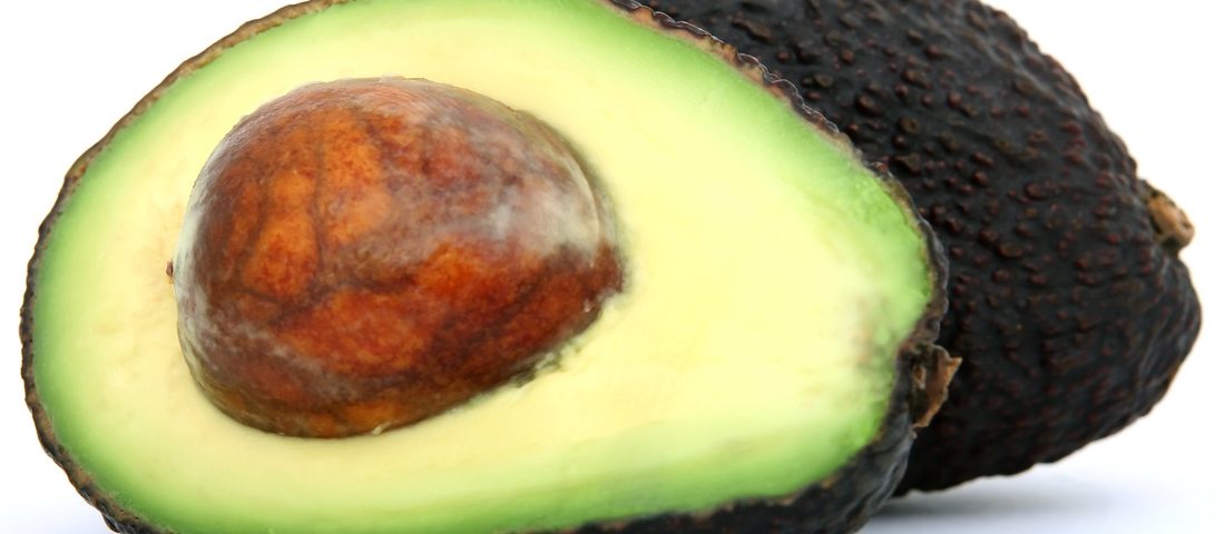 avocado orig