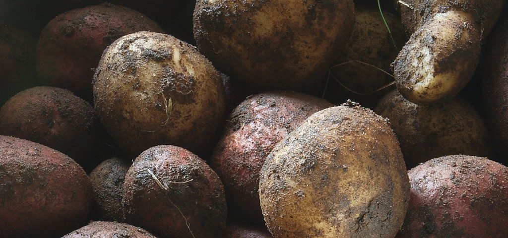 potatoes